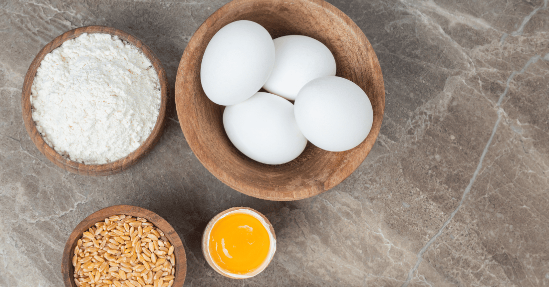 Whey protein vs. egg white protein for GLP-1 users: Which to choose?