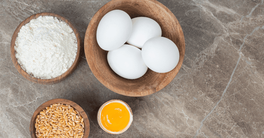 Whey protein vs. egg white protein for GLP-1 users: Which to choose?
