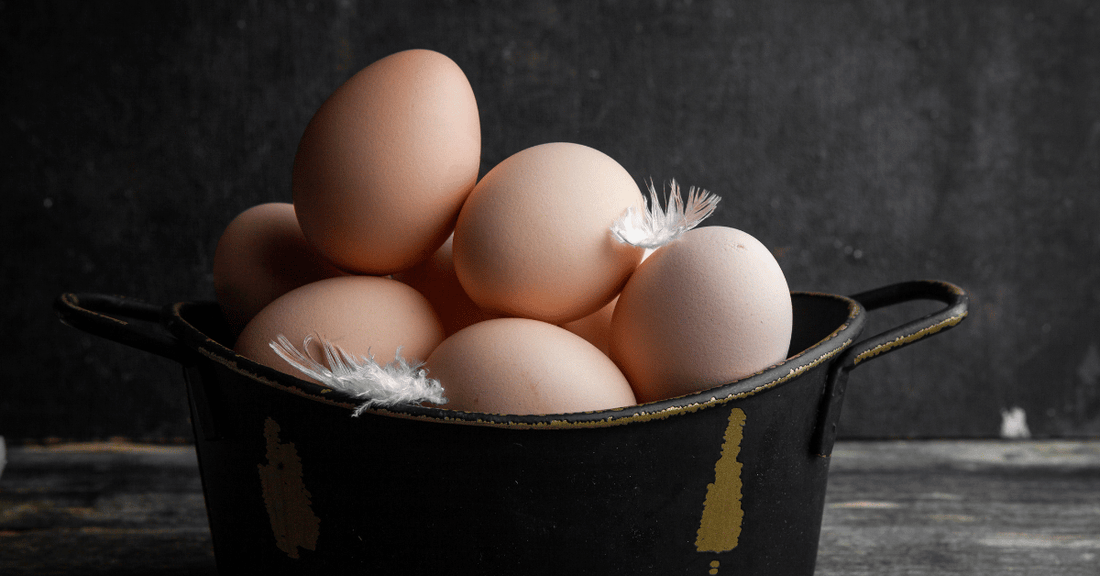 Egg White vs. Egg White Albumin: Understanding the Difference