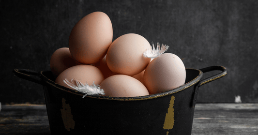 Egg White vs. Egg White Albumin: Understanding the Difference