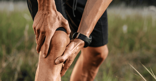 Effects of Ovomet® Supplementation on Crossfit Athletes: A Preliminary Study